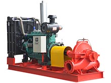 diesel engine fire pump