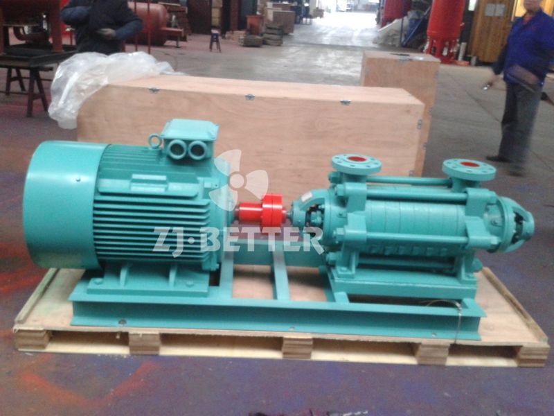 What is the horizontal multistage centrifugal pump?