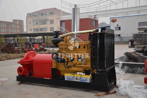 Diesel Engine Fire Pump