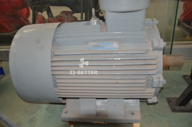 Explosion-proof motor