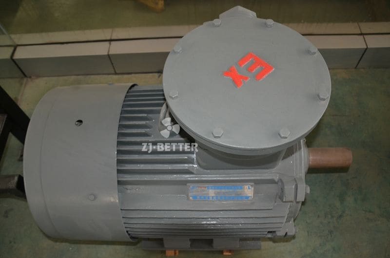 Explosion-proof motor