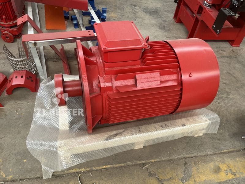 Fire Pump Electric Motor