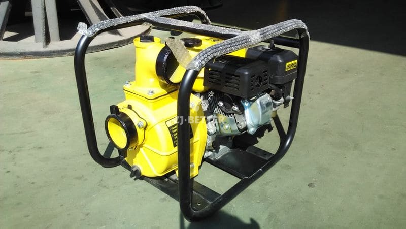 Gasoline engine water pump