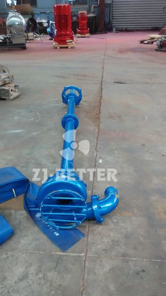 NL type sewage mud pump