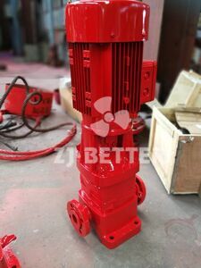 Vertical inline fire pump