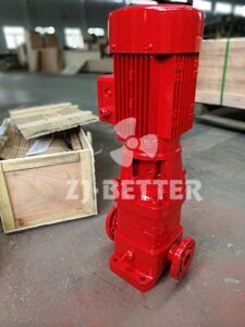 Vertical inline fire pump