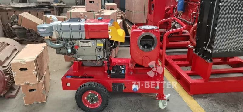 Mobile Portable Diesel Pump