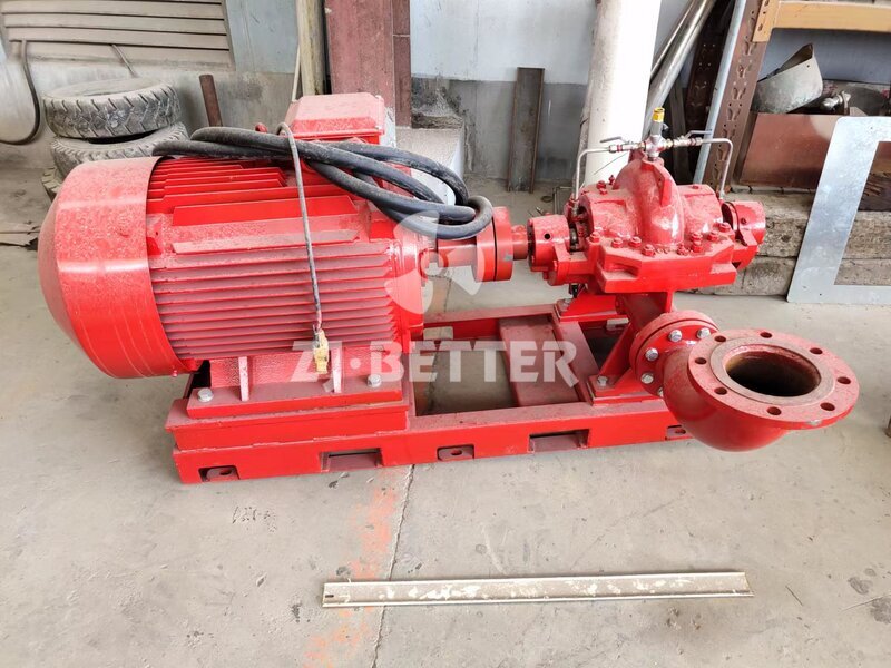 Electric split-case pump