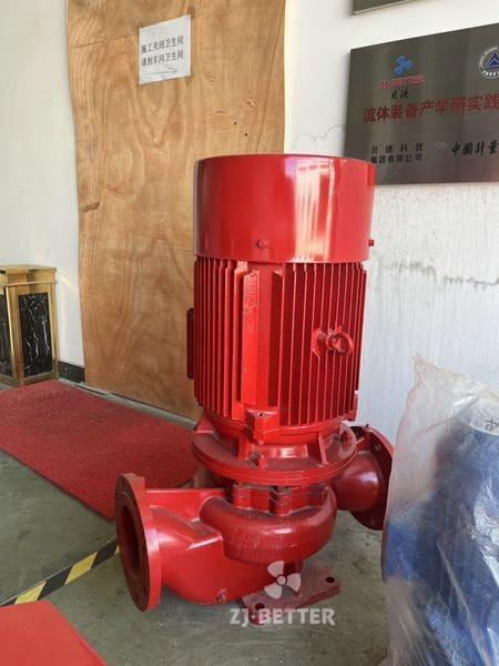 Vertical Fire Pump