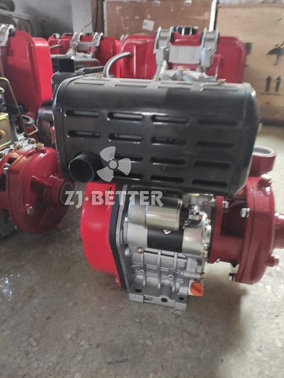 Small flow diesel engine fire pump