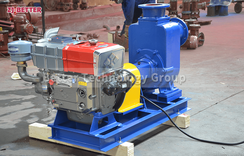 Protection and maintenance of diesel engine fire pump