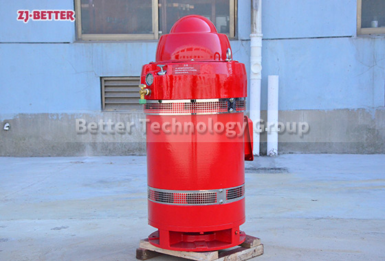 Special motor for vertical fire pump