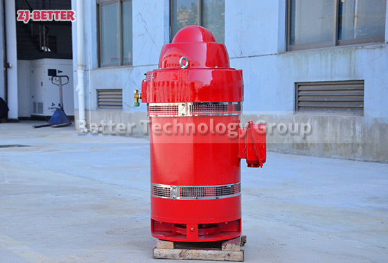 Function of special motor for vertical fire pump