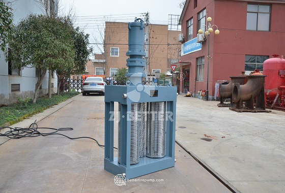 Fire Pump Suction Strainer: Essential Device for Reliable Pump Protection