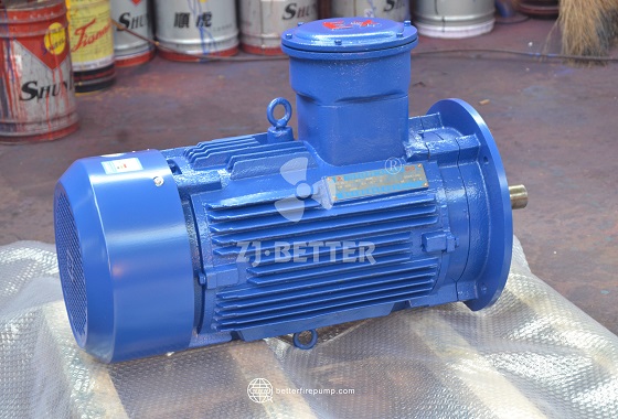 Powerful Electric Motor for Heavy Load Fire Pump Applications