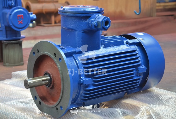 Powerful Electric Motor for Heavy Load Fire Pump Applications