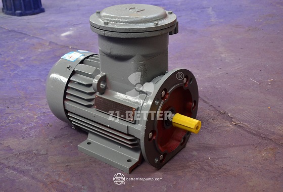 High Performance Electric Fire Pump with Multiple Flow and Head Selection Options